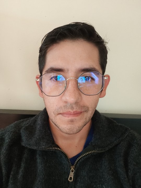 Alejandro Borda Mercado Erick - Informatik, Programmierung tutor