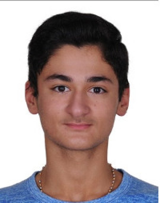Saad Johnny - Englisch, Mathe, Physik tutor