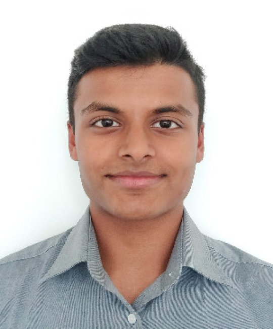 Praveen - Mathe, Biologie, Chemie tutor