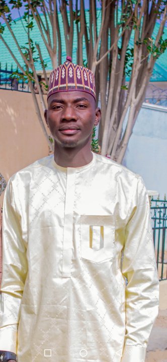 Abdulsalam Muhammadu - Mathe, Chemie, Physik tutor