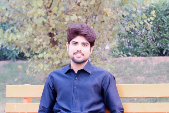Rizwan Mohammad - Biologie, Chemie, Englisch tutor
