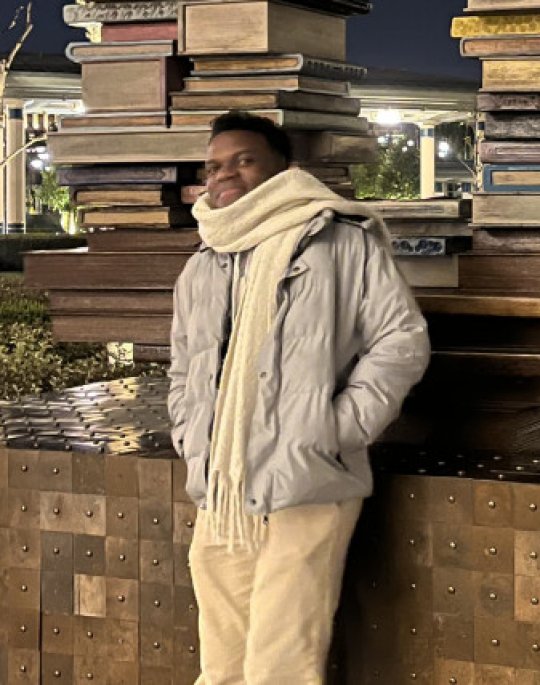 Hendis - Mathe, Physik, Englisch tutor