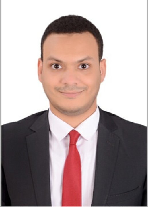 Ahmed Hossam - Englisch, Statistik, Management tutor