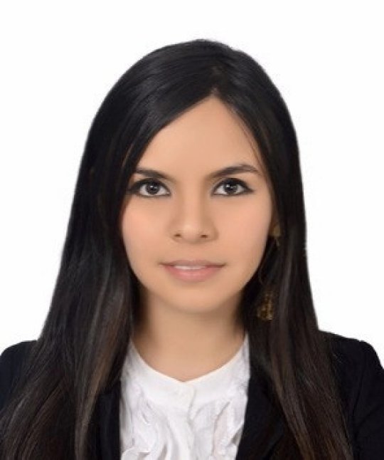 Alegria Samara - Mathe, Programmierung, Einführung in die Informatik tutor