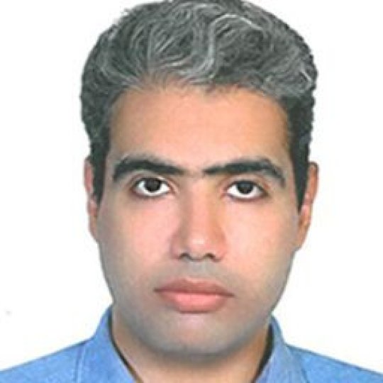 Djalinoosi Mahdi - Französisch, Persische Literatur, Persisch (Farsi) tutor