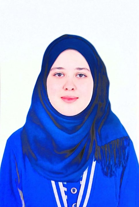 Tilali Afnane - Informatik, Programmierung, Arabisch tutor