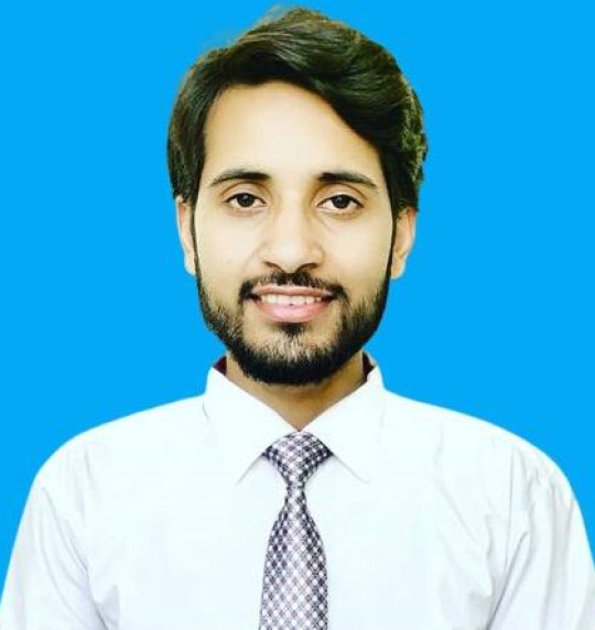 Raza Ali - Mathe, Englisch, Physik tutor