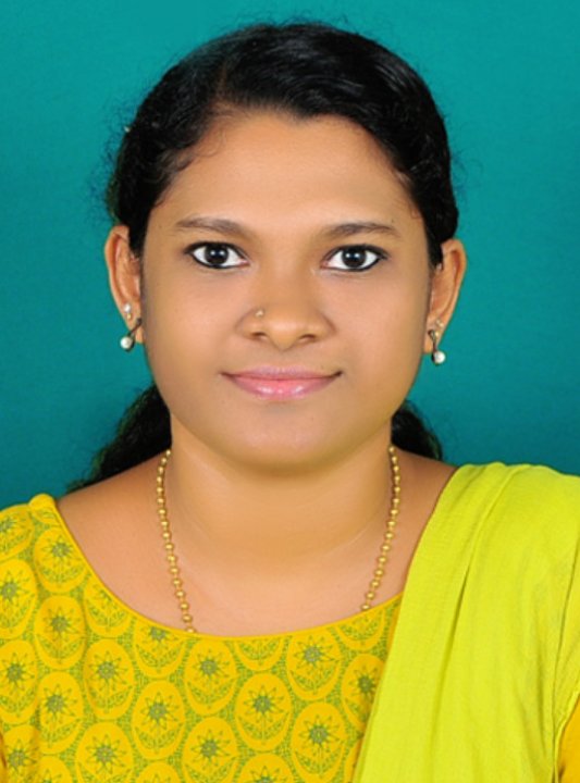 Navas Shanu - Mathe, Physik, Informatik tutor