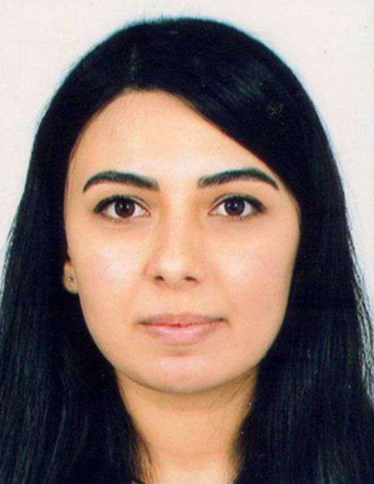Akbarova Gunash - Englisch, Musik, Kunst, Sozialkunde, Mathe tutor
