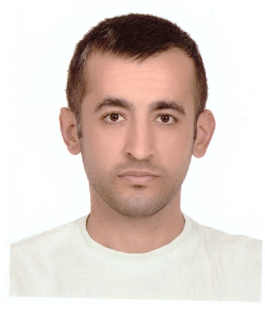 Ozturk Demhar - Englisch, Kunst tutor