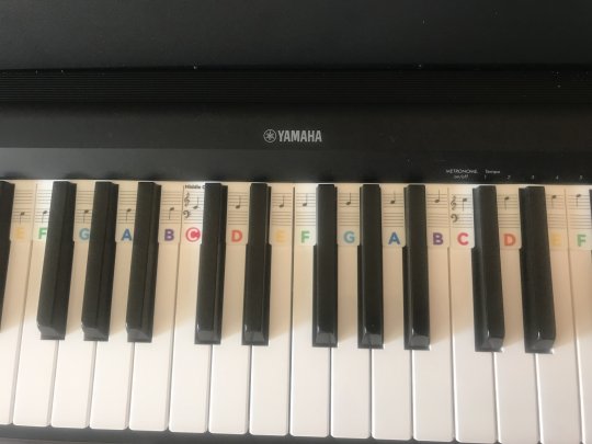 brown Millie - Klavier, Musiktheorie tutor