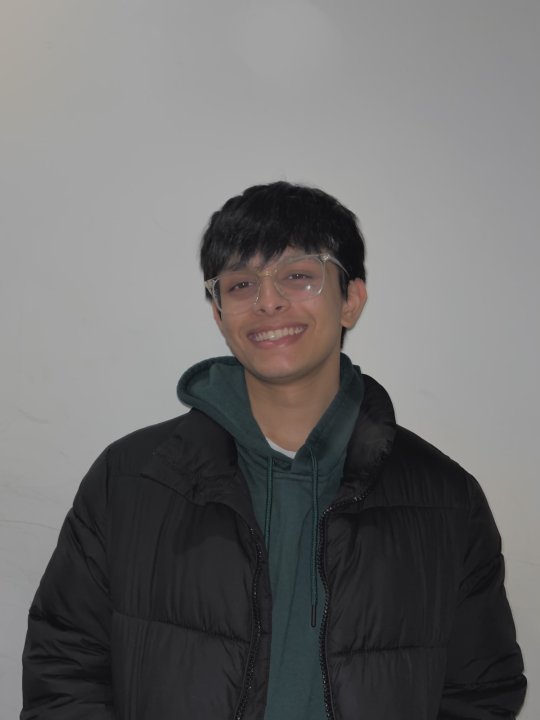Aaryan - Mathe, Englisch, Physik tutor